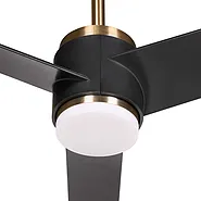 Ceiling Fan with Light TROUT with Remote LED Black_1133558