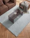 Rug VANTIRA Light Grey 160 x 160 cm