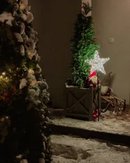 Ulkokoriste LED-valo SANNAN 110 cm Tähti Musta_1052598