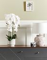 Artificial Plant ORCHID 65 cm White