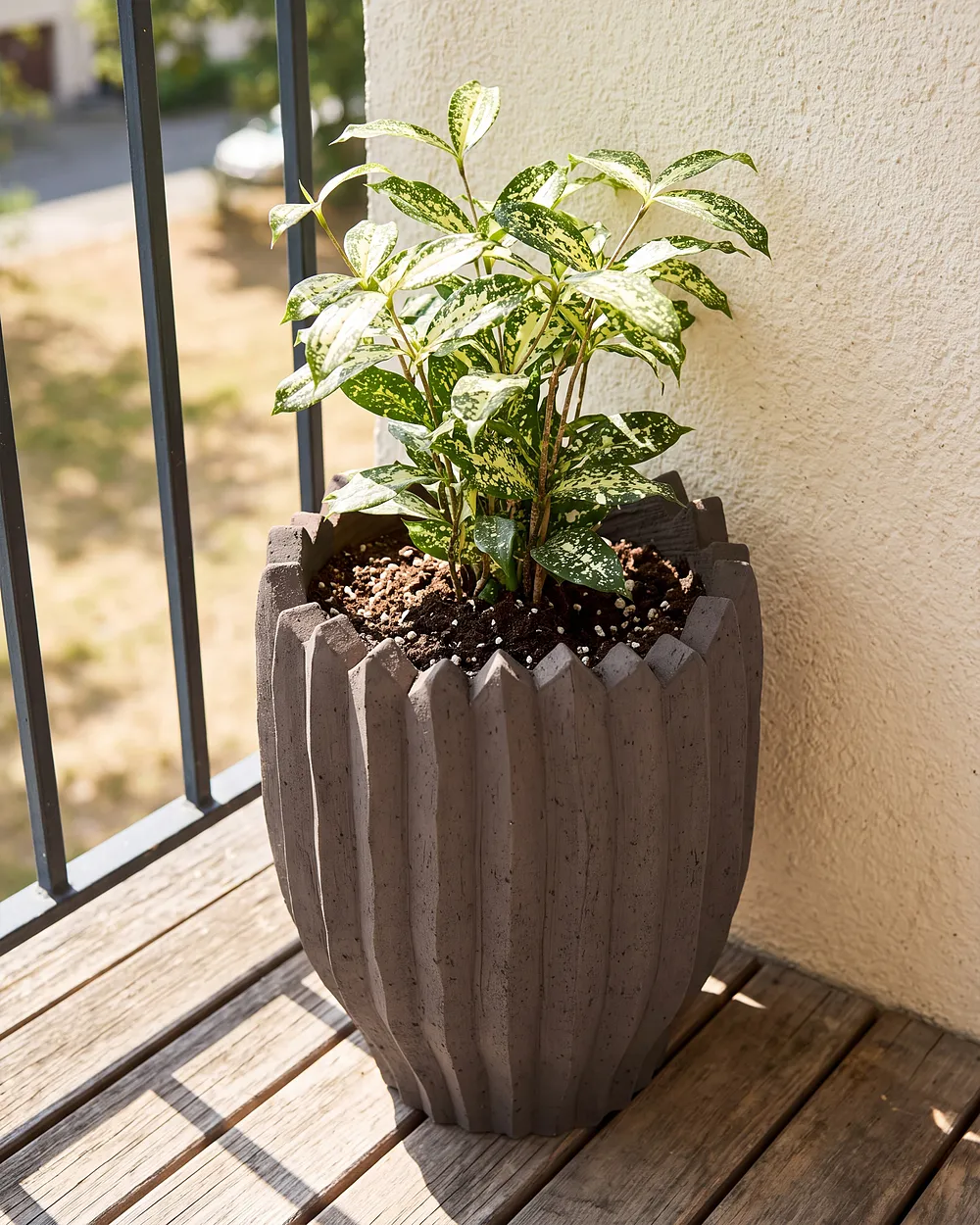 Blomkruka ATTERSEE 33 cm Mörkbrun_1161151