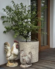 Blomkruka EPIRUS 44 cm Ljusbeige_1144842