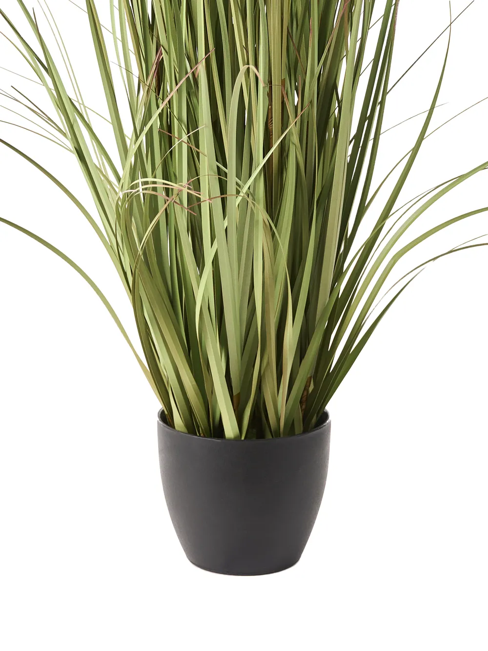 Artificial Plant POMPOM GRASS 120 cm Green_1018544