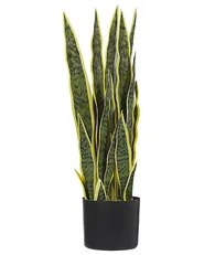 Konstgjord växt SNAKE PLANT 63 cm Grön_774036