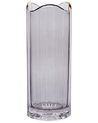 Flower Vase PERDIKI 30 cm Glass Grey