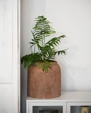 Blomkruka GERAKAS 35 cm Beige_1056576