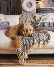 Pledd CHYAMA Bomull 125 x 150 cm Svart/beige_979162