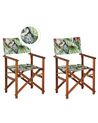 Set of 2 Garden Chairs CINE Acacia Wood Green