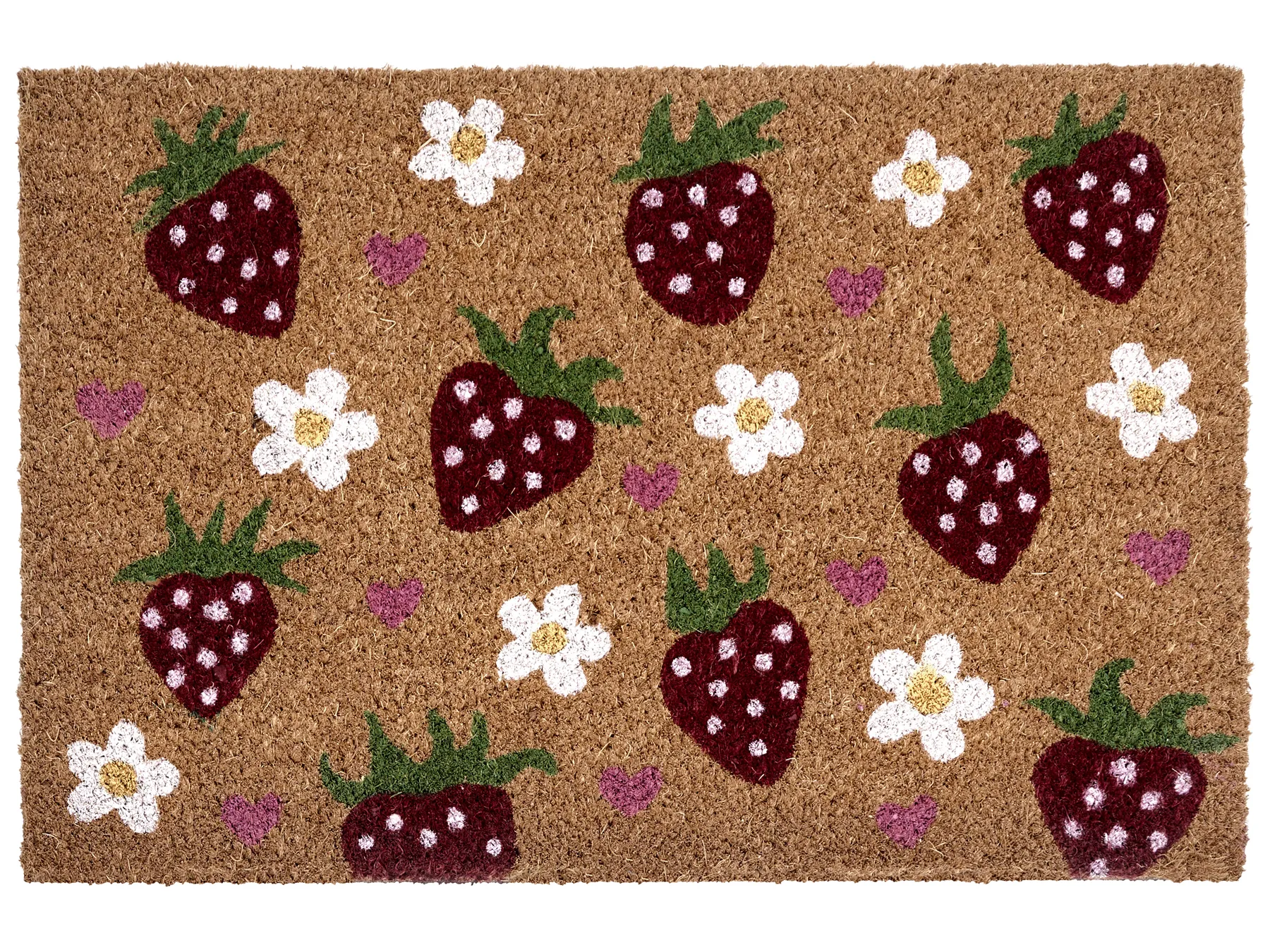 Dørmatte SHAININ Flerfarget 40 x 60 cm Kokosfiber_1049668