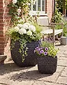 Set med 2 växtkrukor BERBERIS 34/45 cm Konstrotting Svart