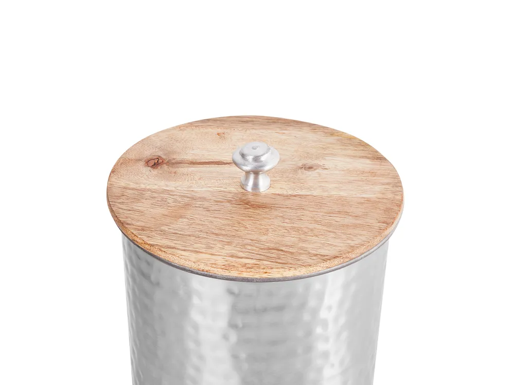Storage Container ALEXANDRIA Metal Silver_765582