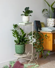 Plant Stand ASAGAO 26 cm Metal Beige_1063413