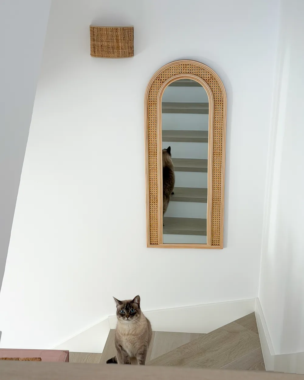 Wall Mirror FRANEY 50 cm 120 cm Rattan Natural_1047369