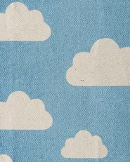 Kids Rug GWALIJAR Blue 60 x 90 cm Cotton_790772