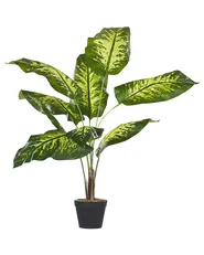 Tekokasvi DIEFFENBACHIA 122 cm Vihreä_774424