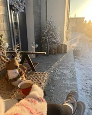 Snöklädd konstgjord julgran BASSIE 120 cm Vit_900063