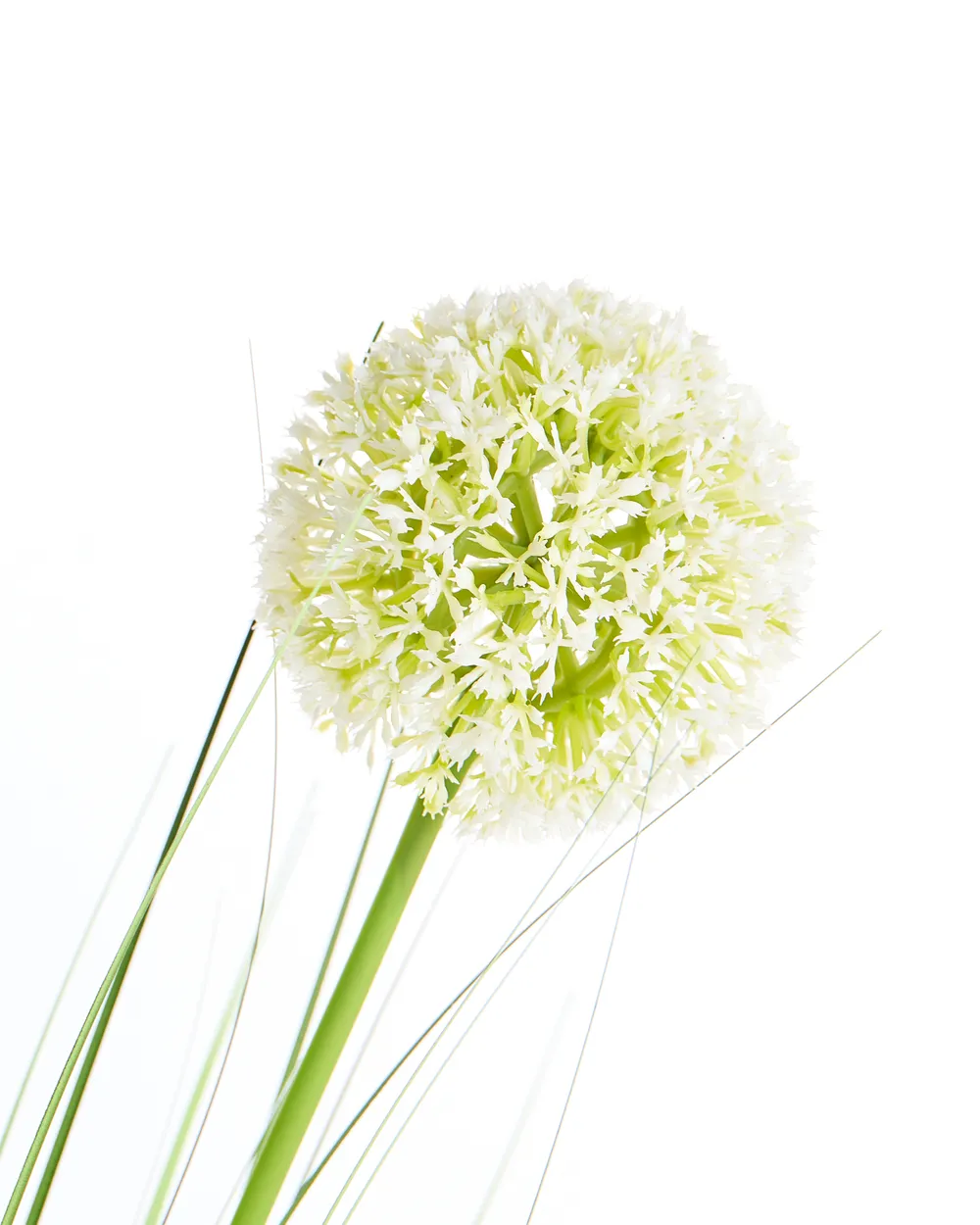Tekokasvi SNOWBALL BUSH 125 cm Vihreä_1090836