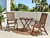Bistro Set Folding AMANTEA Acacia Wood Dark Brown