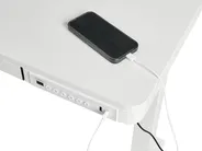 Electric Adjustable Standing Desk PENLY 120 cm 60 cm with USB Port White_1031219