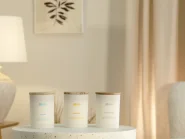 Set of 3 Scented Candles SIMPLICITY Soy Wax Fruity Notes Fresh Notes_878576