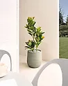 Plant Pot LIVADIA 39 cm Olive Green