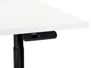 Electric Adjustable Standing Desk DESTINAS 120 cm 72 cm White/ Black_899653