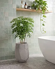 Blomkruka ENSTAL 32 cm Grå_1161755