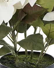 Artificial Plant CHRISTMAS FLOWER 61 cm White_1174962