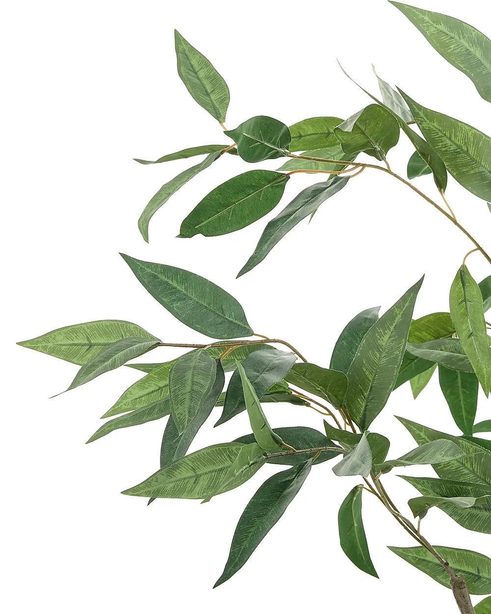 Tekokasvi EUCALYPTUS TREE 128 cm Vihreä_1185263