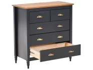 5 Drawer Chest SHILLINGTON Pine Wood Black_966219