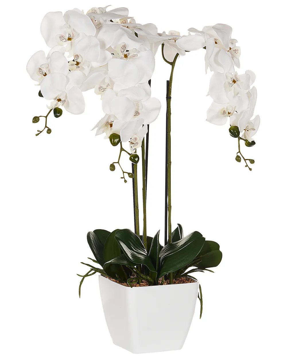 Tekokasvi ORCHID 59 cm Valkoinen_947268