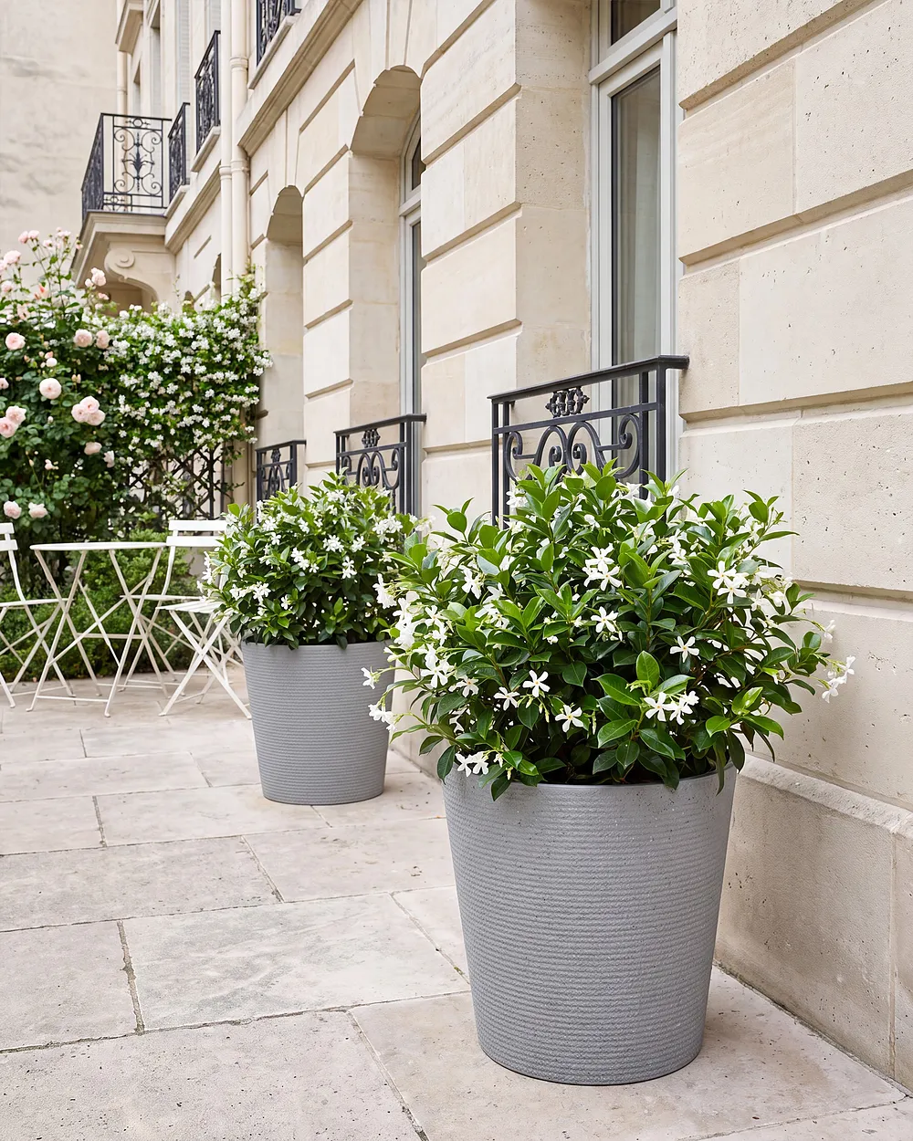 Set of 2 Plant Pots ARMERIA 50 cm Grey_1133064