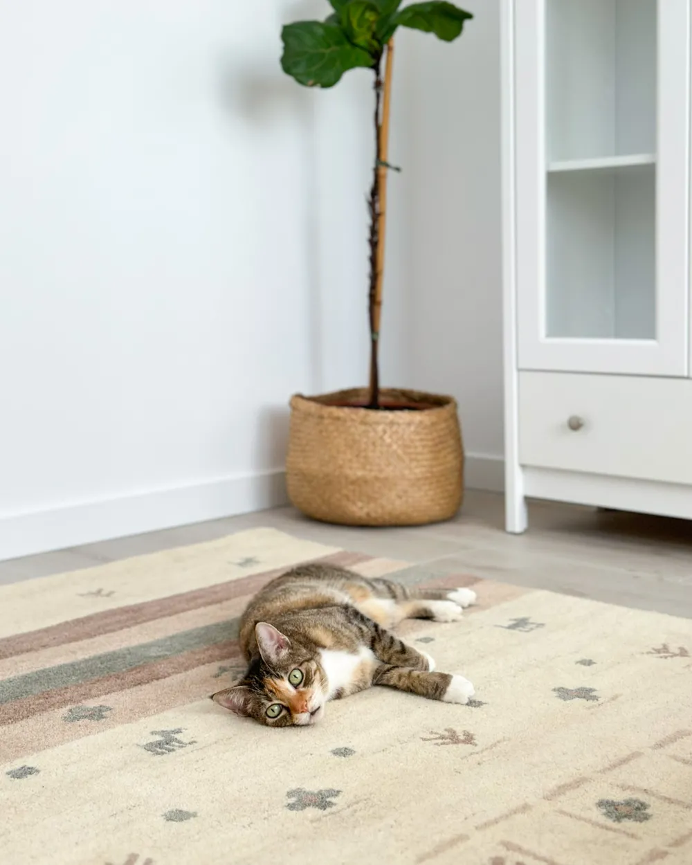 Matto KARLI Beige 160 x 230 cm gabbeh Villa_1018064