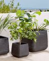 Plant Pot PARIKIA 50 cm Black