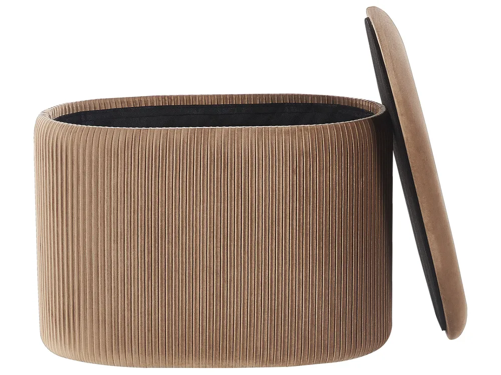 Säilytysrahi RICHLAND Sametti Beige_823944