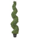 Tekokasvi BUXUS SPIRAL TREE 158 cm Vihreä