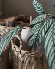 Set of 3 Wicker Planters PENDULA 33/37/45 cm PE Rattan Natural_990422