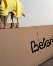 Sivupöytä LANDER Vaaleanruskea_1168159