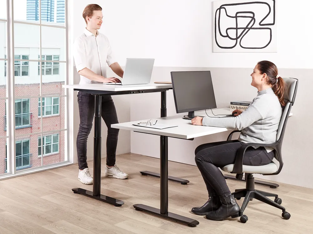 Manual Adjustable Standing Desk DESTINAS 160 cm 72 cm White/ Black