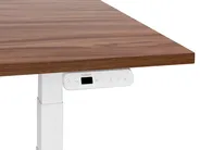 Electric Adjustable Standing Desk DESTINES 160 cm 72 cm Brown/ White_899370