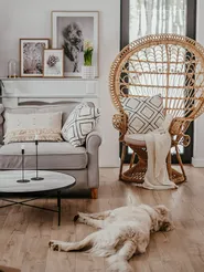 Peacock Chair EMMANUELLE Rattan Natural_800784