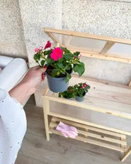 Växthus för balkong ARANOVA 80 cm 58 cm Granträ Ljusbrun_1068728