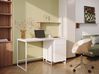 Home Office Desk LEXTON 120 cm 60 cm White