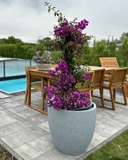 Plant Pot KANNIA 55 cm Light Grey_861258