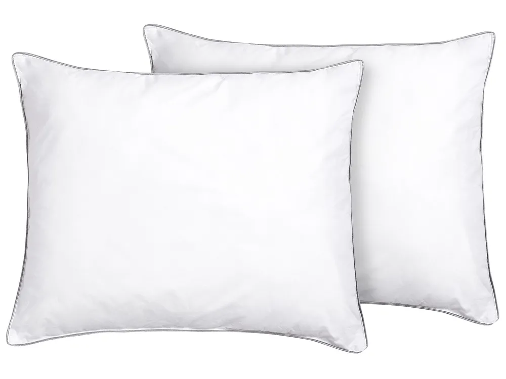 Set of 2 Bed Pillows PELISTER Low 50 x 60 cm Microfibre White