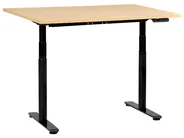 Electric Adjustable Standing Desk DESTINAS 120 cm 72 cm Black/ Light Brown_1000456