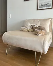Single Sofa Bed VESTFOLD Velvet Beige_1023919