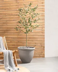 Blomkruka TESALIA 49 cm Grå_954136