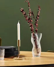 Blomvas ELATOS 23 cm Glas Transparent_838237