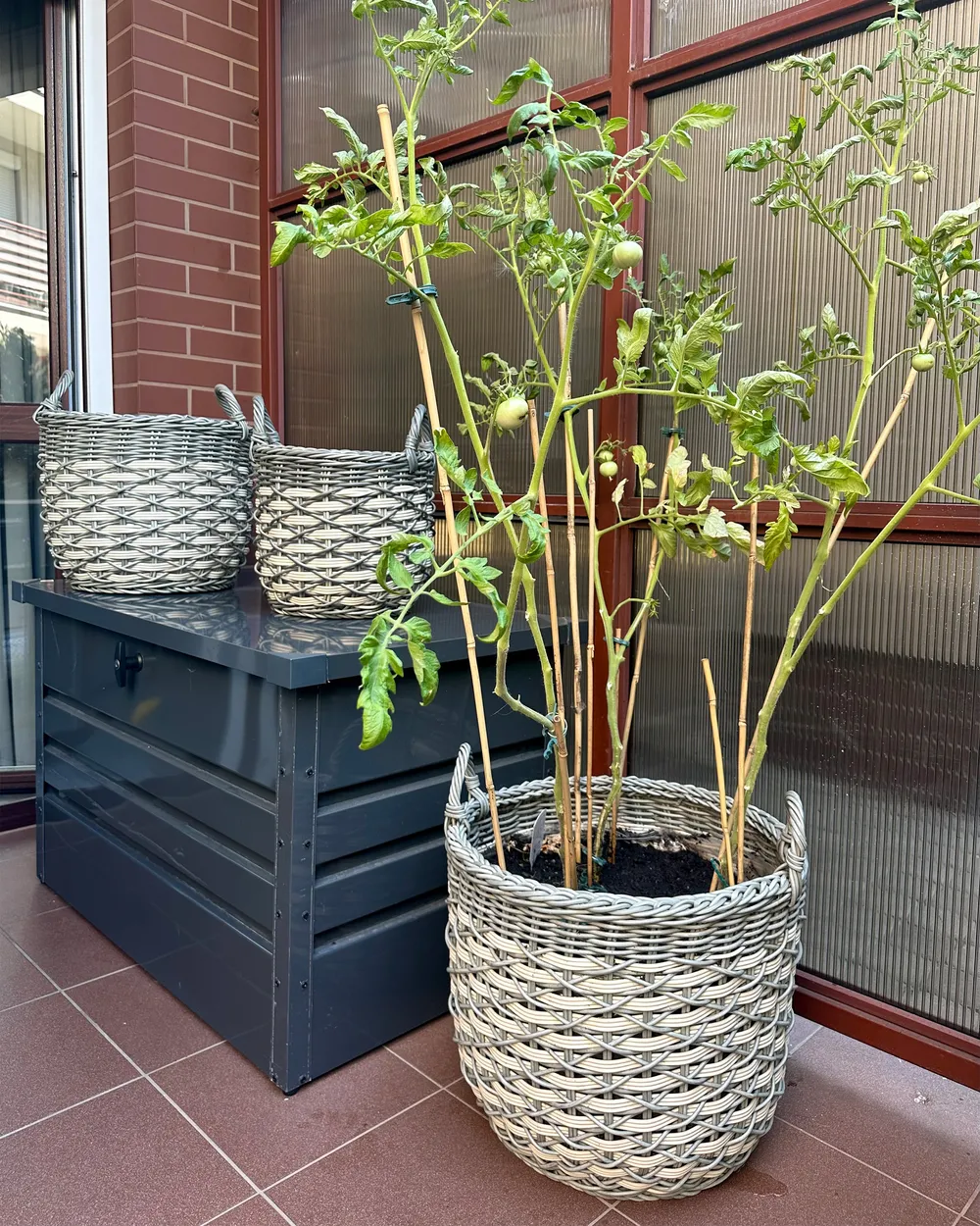 Set of 3 Wicker Planters GEFIRA 31/39/49 cm PE Rattan Grey_946450